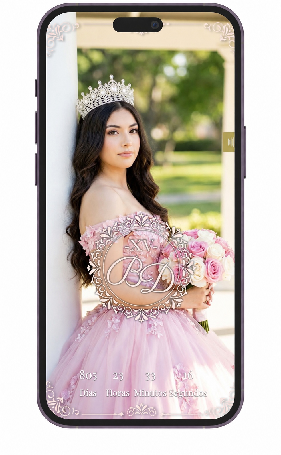 Invitación digital Princesa Real